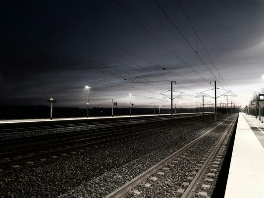 Railway running through the woods
